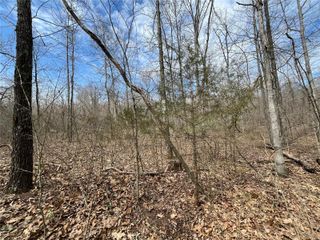 0 Madison 504, Fredericktown, MO 63645