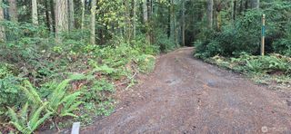 0 SW XXX 204th Street, Vashon, WA 98070