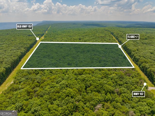 0 157 Highway GA, Menlo, GA 30731