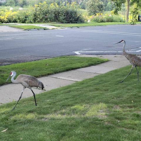 7315 Voss Parkway, Middleton, WI 53562