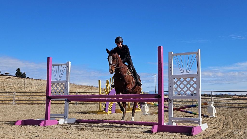 4801 N Eagle Owl Ln, Star, ID 83669 photo 12