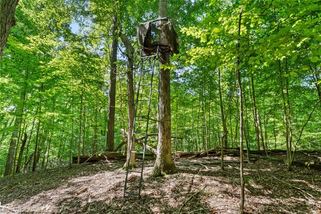 202 Partridge Pt, Cadiz, KY 42211