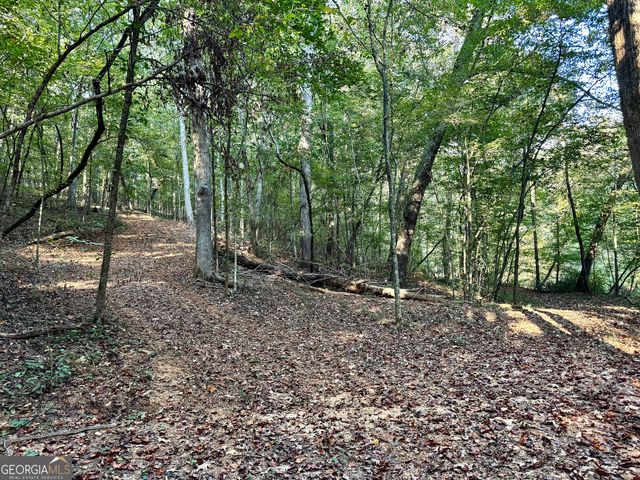 427 Kinney Creek Lane, Pendergrass, GA 30567