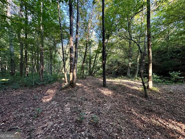 427 Kinney Creek Lane, Pendergrass, GA 30567