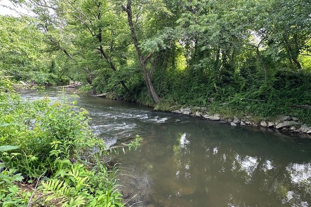 Lot 50 Brasstown Trails, Warne, NC 28909