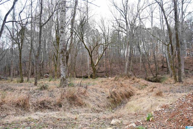 13538 HIGHWAY 46, Heflin, AL 36264