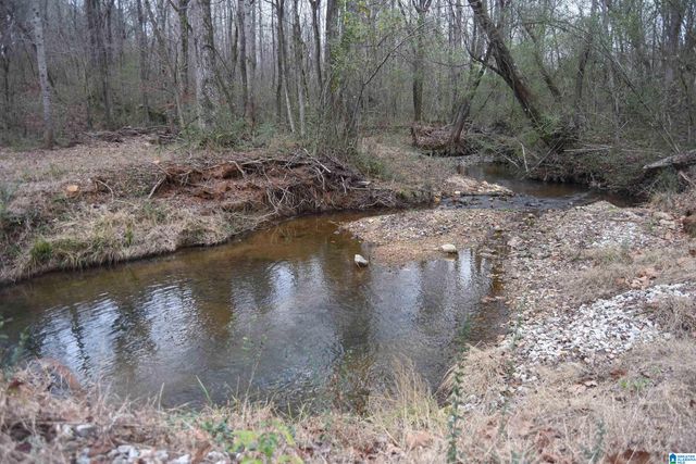 13538 HIGHWAY 46, Heflin, AL 36264