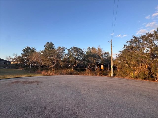 SW 98TH LANE, Ocala, FL 34476