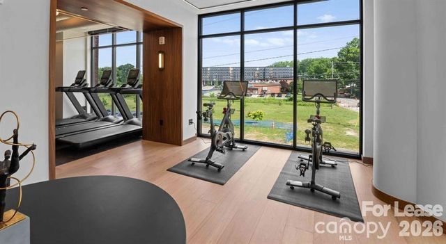 300 E 36th Street C1, Charlotte, NC 28206