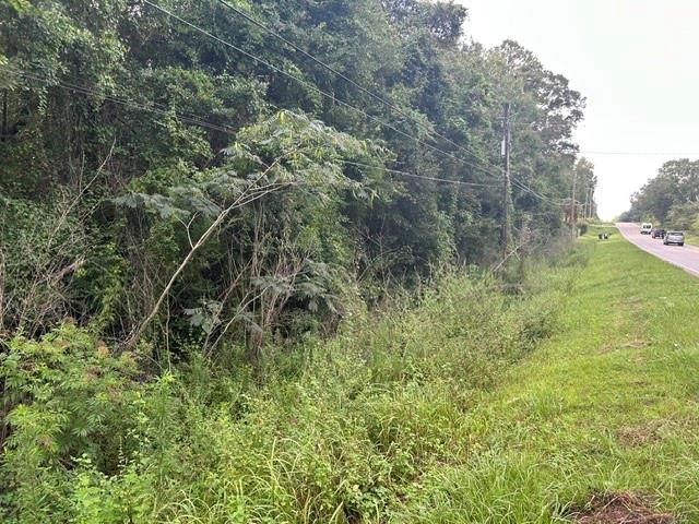 0 Mcdonald Road, Theodore, AL 36426
