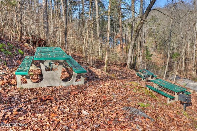 Lot 172 Saddleridge Drive, Speedwell, TN 37870