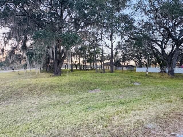 17481 CELIA AVENUE, Brooksville, FL 34604