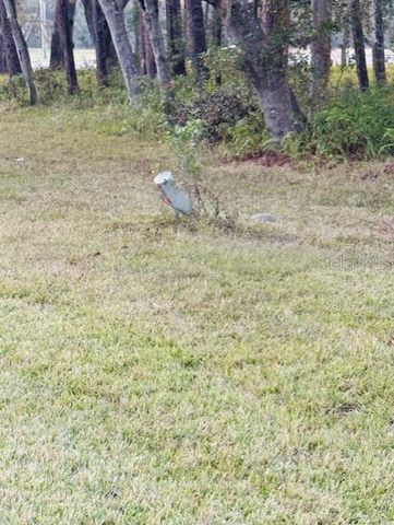 17481 CELIA AVENUE, Brooksville, FL 34604