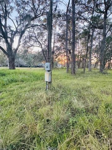 17481 CELIA AVENUE, Brooksville, FL 34604