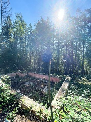 111 N Colony Surf Drive, Lilliwaup, WA 98555