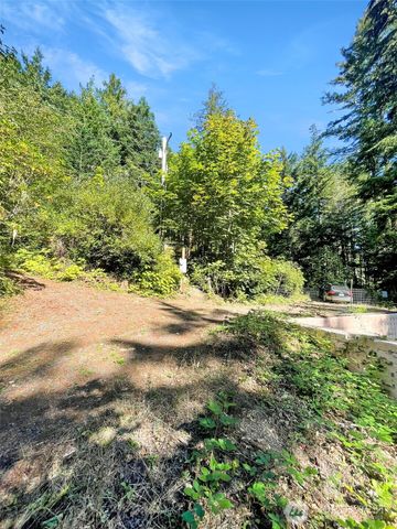 111 N Colony Surf Drive, Lilliwaup, WA 98555