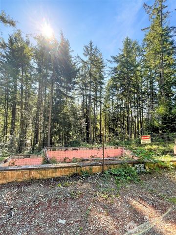 111 N Colony Surf Drive, Lilliwaup, WA 98555