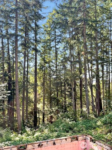 111 N Colony Surf Drive, Lilliwaup, WA 98555