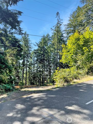 111 N Colony Surf Drive, Lilliwaup, WA 98555