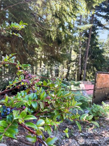 111 N Colony Surf Drive, Lilliwaup, WA 98555