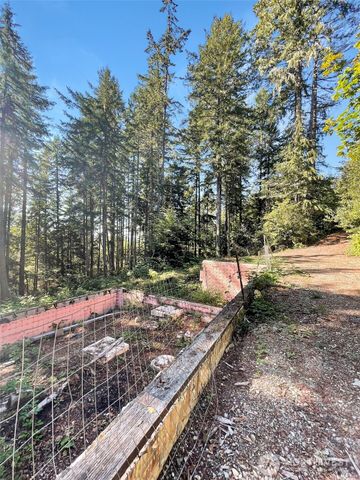 111 N Colony Surf Drive, Lilliwaup, WA 98555