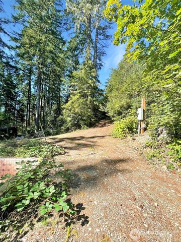 111 N Colony Surf Drive, Lilliwaup, WA 98555
