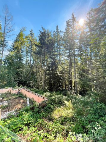 111 N Colony Surf Drive, Lilliwaup, WA 98555
