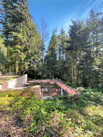 111 N Colony Surf Drive, Lilliwaup, WA 98555