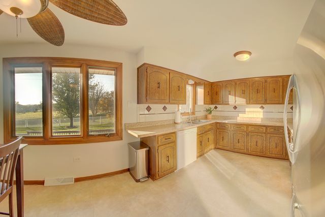 15656 S Walnut Court, Homer Glen, IL 60491