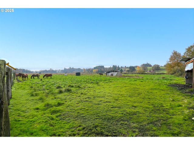 Duckflat, Turner, OR 97392