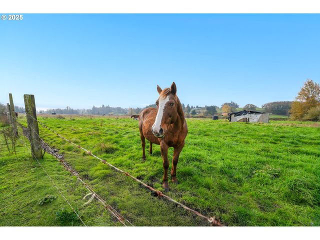 Duckflat, Turner, OR 97392