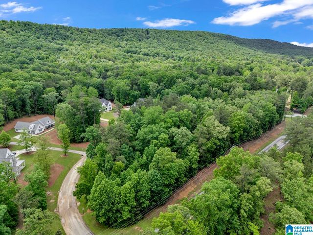 6738 DOUBLE OAK COURT, Birmingham, AL 35242