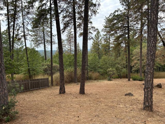 17151 Mountain View Drive, Applegate, CA 95703