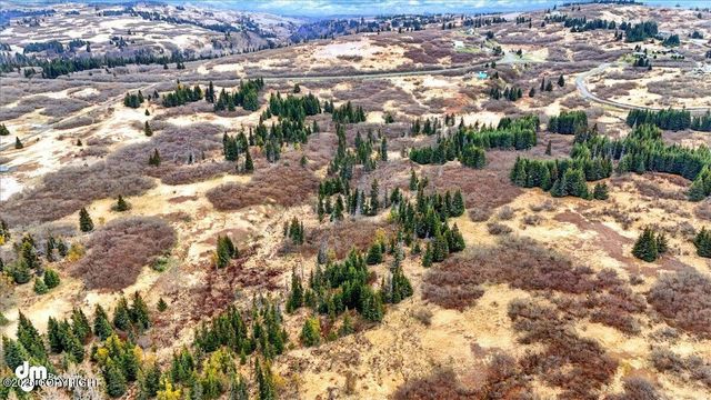 65251 Clyde Thomas Avenue, Anchor Point, AK 99556