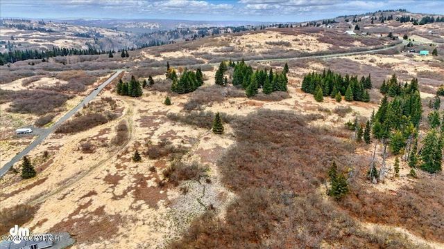 65251 Clyde Thomas Avenue, Anchor Point, AK 99556