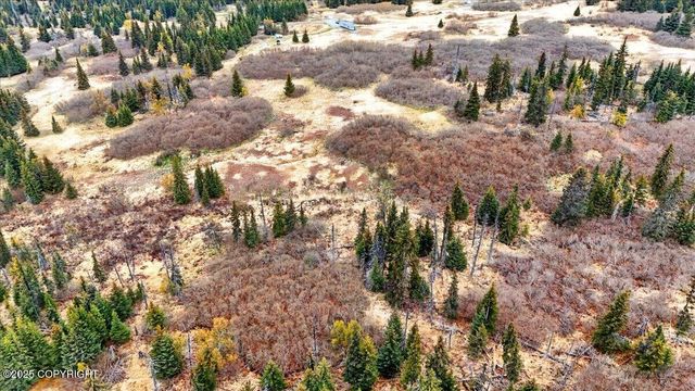 65251 Clyde Thomas Avenue, Anchor Point, AK 99556