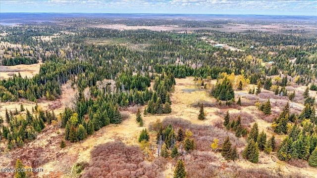 65251 Clyde Thomas Avenue, Anchor Point, AK 99556