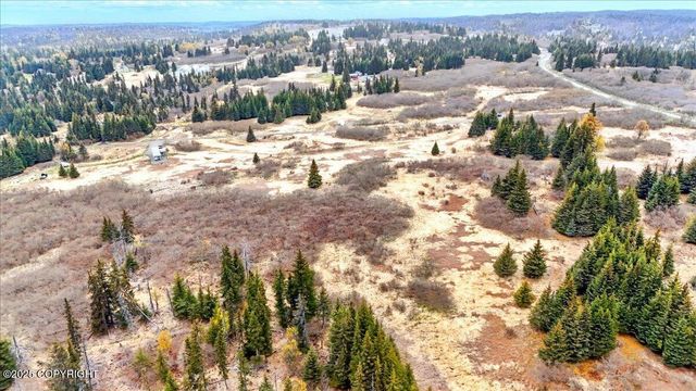 65251 Clyde Thomas Avenue, Anchor Point, AK 99556