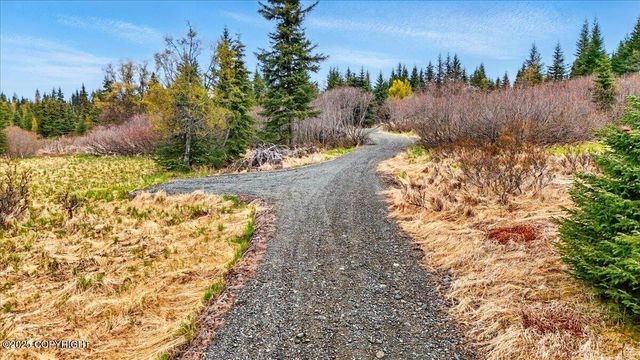 65251 Clyde Thomas Avenue, Anchor Point, AK 99556