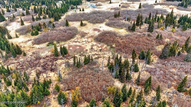 65251 Clyde Thomas Avenue, Anchor Point, AK 99556