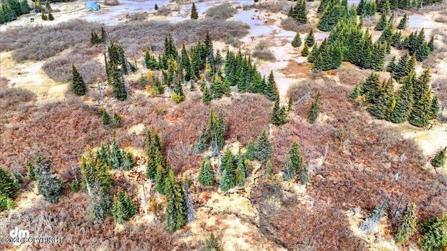 65251 Clyde Thomas Avenue, Anchor Point, AK 99556