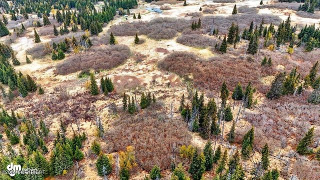 65251 Clyde Thomas Avenue, Anchor Point, AK 99556