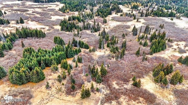 65251 Clyde Thomas Avenue, Anchor Point, AK 99556
