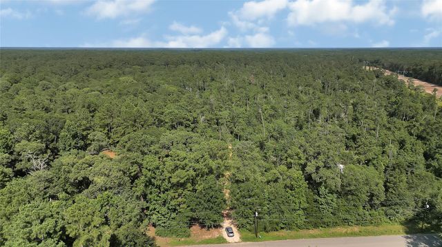 2161 Fostoria Tram Road, Cleveland, TX 77328