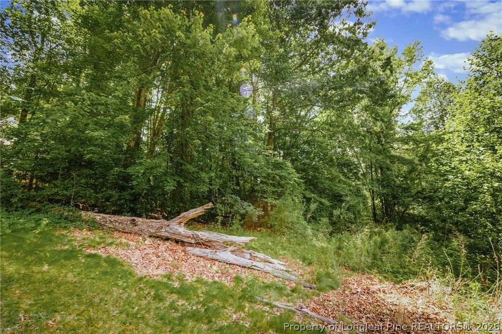 692 Chelsea Drive, Sanford, NC 27332 — photo 12