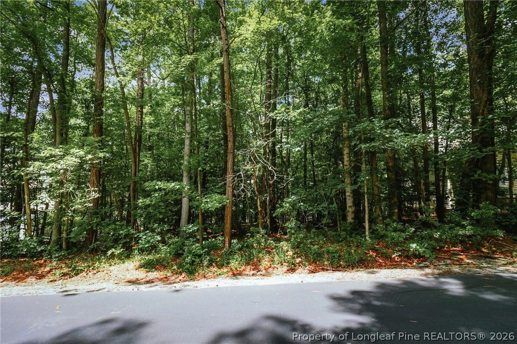 692 Chelsea Drive, Sanford, NC 27332 — photo 14