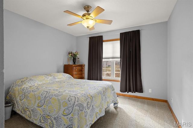 195 Baneberry Drive, Highland, IL 62249