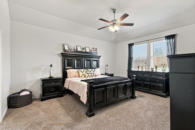 11217 Shady Meadows Way, Aubrey, TX 76227