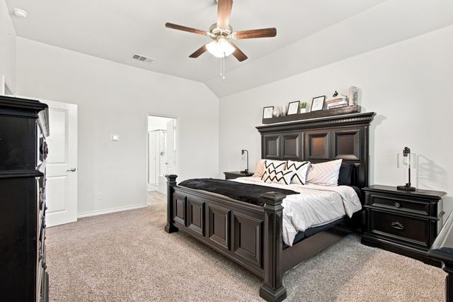 11217 Shady Meadows Way, Aubrey, TX 76227
