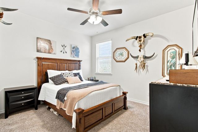 11217 Shady Meadows Way, Aubrey, TX 76227